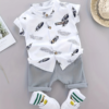 Summer Toddler Shirt and Shorts Set