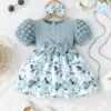 Baby Girl Summer Floral Dress
