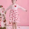 Girls Heart Embroidery Tulle Dress – Party & Holiday Outfit