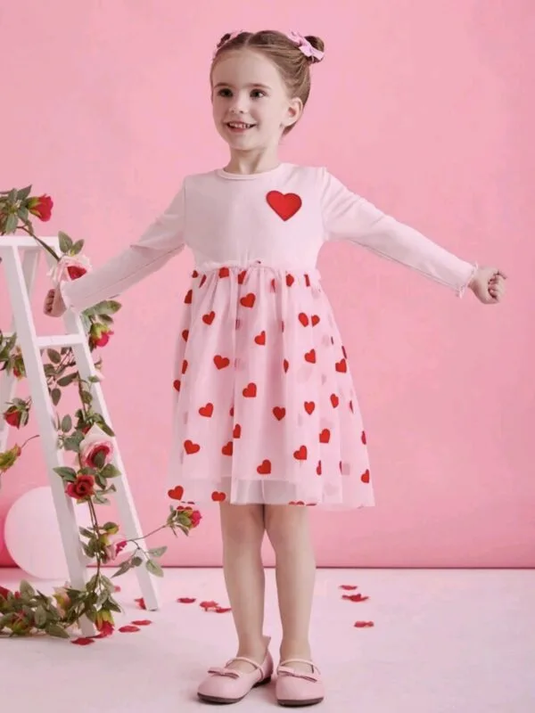 Girls Heart Embroidery Tulle Dress – Party & Holiday Outfit