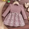 Baby Girl Floral Knit Dress – Long Sleeve Autumn Outfit